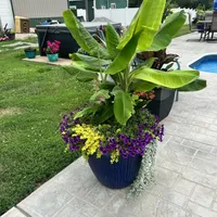 processed/5e605339-37e0-4b1c-a124-1fcc0d7213a7/facility/d939ecbc-89b2-4c74-9a8a-9aa12c7a4403