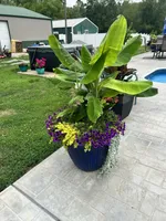 processed/5e605339-37e0-4b1c-a124-1fcc0d7213a7/facility/d939ecbc-89b2-4c74-9a8a-9aa12c7a4403