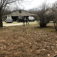 processed/5e605339-37e0-4b1c-a124-1fcc0d7213a7/facility/dcab37e8-285f-4ecd-9679-5d80bc6e4c91