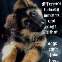 processed/5e605339-37e0-4b1c-a124-1fcc0d7213a7/facility/e1edae6f-2219-4ad9-ad9e-a00bca0b0aac