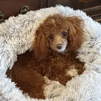 processed/5e605339-37e0-4b1c-a124-1fcc0d7213a7/facility/e5cfd4a5-fe01-4b82-9a8d-8b79706f8ca0