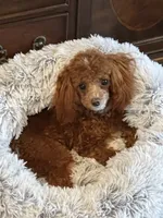 processed/5e605339-37e0-4b1c-a124-1fcc0d7213a7/facility/e5cfd4a5-fe01-4b82-9a8d-8b79706f8ca0