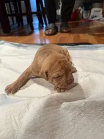 processed/5e650936-c096-4ff9-9959-be170dab2ad5/listing/07dfdbd5-284b-4285-a820-1996b16d7ae1/2c33d2c7-2f0b-4857-aeae-00e8c245fdf4