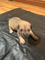 processed/5e650936-c096-4ff9-9959-be170dab2ad5/listing/19cff5dc-2a86-4f3a-af85-e771ec9d9aac/2e896110-5f31-4a3e-94b6-49c9a6e3b666