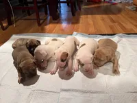 processed/5e650936-c096-4ff9-9959-be170dab2ad5/listing/19cff5dc-2a86-4f3a-af85-e771ec9d9aac/a05b22ee-64c2-46ee-81a1-f9c955e55842