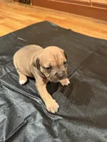 processed/5e650936-c096-4ff9-9959-be170dab2ad5/listing/19cff5dc-2a86-4f3a-af85-e771ec9d9aac/ae66d578-4832-4725-b63c-7b844fc075a6