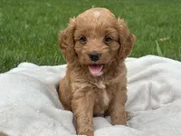 processed/5e6fa049-e10e-42a8-9be8-596ca9557f59/facility/7ddbb03d-53f8-43af-8ef0-d6d921425305