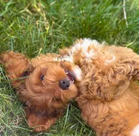 processed/5e6fa049-e10e-42a8-9be8-596ca9557f59/facility/80609a7c-d245-412e-95b3-3c3ff1836205