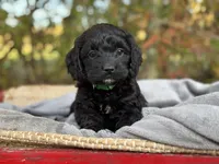 processed/5e6fa049-e10e-42a8-9be8-596ca9557f59/facility/93c4ef79-7a46-45ff-9732-77f2acb7de84