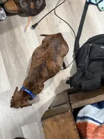 processed/5e786336-2c98-4d5a-b88b-b776c291254b/facility/1afa6f50-61b5-4b4a-a27c-0daabf7919c5