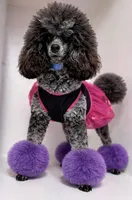 processed/5e786336-2c98-4d5a-b88b-b776c291254b/facility/77100adf-1a95-4664-8b63-a5911d907561