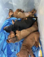 processed/5e786336-2c98-4d5a-b88b-b776c291254b/facility/d2897b08-3485-4caf-a6c6-b0d7fb4a7970