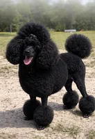 processed/5e786336-2c98-4d5a-b88b-b776c291254b/facility/e75d1fd3-759f-4f87-a613-72499762dcf2