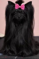 processed/5e786336-2c98-4d5a-b88b-b776c291254b/facility/f2bace84-c823-4aa8-9698-3a59672a6bcd