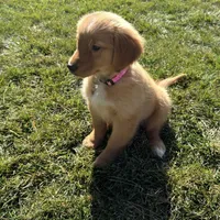 processed/5e78da36-72d7-4efa-98bf-2e4ac9b34f06/facility/01a78d0a-1342-42a1-bbb0-05c5b4bf0b4c