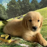 processed/5e78da36-72d7-4efa-98bf-2e4ac9b34f06/facility/5289acc9-2027-454c-986f-da01c2e93341