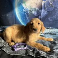 processed/5e78da36-72d7-4efa-98bf-2e4ac9b34f06/facility/bbf4754b-d5c4-4c7a-879c-f127d59d717a