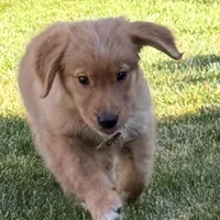 processed/5e78da36-72d7-4efa-98bf-2e4ac9b34f06/facility/e41a4e1a-dfc8-4f71-a92a-c28f63c3eb18