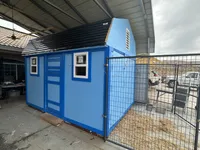 NKC standard orange color boy, a male Golden Retriever for sale in Apple Valley, CA – Photo 7 of 9