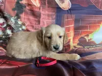 processed/5e78da36-72d7-4efa-98bf-2e4ac9b34f06/listing/195fea1a-af06-4142-8c8e-208bdd537154/0711be65-6b6c-42ce-924a-787271804805