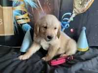 processed/5e78da36-72d7-4efa-98bf-2e4ac9b34f06/listing/195fea1a-af06-4142-8c8e-208bdd537154/16ce6f33-9e95-4ba2-bfd7-7f2872c2dc03