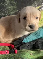 processed/5e78da36-72d7-4efa-98bf-2e4ac9b34f06/listing/195fea1a-af06-4142-8c8e-208bdd537154/2499ffdd-3ec6-4f8e-9ead-ac7ac792b034