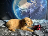 processed/5e78da36-72d7-4efa-98bf-2e4ac9b34f06/listing/195fea1a-af06-4142-8c8e-208bdd537154/26d86e16-d66b-432c-af5b-d5ab62b1cfc6