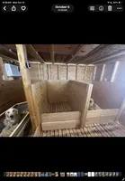 NKC standard  black collar boy, a male Golden Retriever for sale in Apple Valley, CA – Photo 9 of 9