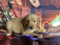 processed/5e78da36-72d7-4efa-98bf-2e4ac9b34f06/listing/55149ace-fdf9-414a-9961-3a7f313e722d/b6c6a695-ed88-4964-aafa-f31a769daccf