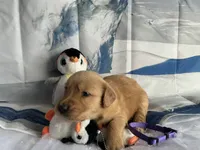 processed/5e78da36-72d7-4efa-98bf-2e4ac9b34f06/listing/55149ace-fdf9-414a-9961-3a7f313e722d/c2e42b27-ff44-4a9c-9223-ff3ca2dd3ff5