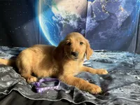 processed/5e78da36-72d7-4efa-98bf-2e4ac9b34f06/listing/55149ace-fdf9-414a-9961-3a7f313e722d/fe07e961-0d2b-4263-83b6-dc33e30d8a49