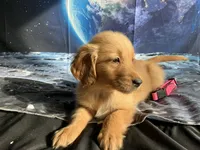 processed/5e78da36-72d7-4efa-98bf-2e4ac9b34f06/listing/8d84c506-52fd-49e3-ab35-c043a5b9c172/2e5093dd-9f19-4598-b5bf-85703aff6fac