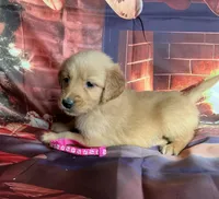 processed/5e78da36-72d7-4efa-98bf-2e4ac9b34f06/listing/8d84c506-52fd-49e3-ab35-c043a5b9c172/348e99e4-2ccb-450b-a861-ba8c6b19c113