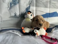 processed/5e78da36-72d7-4efa-98bf-2e4ac9b34f06/listing/8d84c506-52fd-49e3-ab35-c043a5b9c172/3c56e817-79b4-4633-a06f-0d486d2f78d1