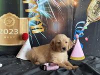 processed/5e78da36-72d7-4efa-98bf-2e4ac9b34f06/listing/8d84c506-52fd-49e3-ab35-c043a5b9c172/42f85ce8-1a57-4b63-b9cd-2baef3e263cd