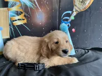 processed/5e78da36-72d7-4efa-98bf-2e4ac9b34f06/listing/8f0b615c-0f9f-4b39-8e81-2a50f6e83de1/6d4fec02-296b-4834-9066-cb83157b8ea0