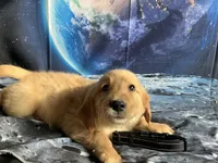 processed/5e78da36-72d7-4efa-98bf-2e4ac9b34f06/listing/8f0b615c-0f9f-4b39-8e81-2a50f6e83de1/fca77893-3ca9-4513-b070-5602bbc65ef0