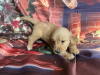 processed/5e78da36-72d7-4efa-98bf-2e4ac9b34f06/listing/abedae62-cd24-486f-9615-09da11ff9381/32fe01d6-49da-47d8-94a3-f99ccadaddae