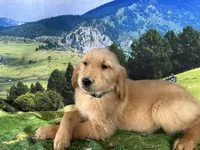 processed/5e78da36-72d7-4efa-98bf-2e4ac9b34f06/listing/abedae62-cd24-486f-9615-09da11ff9381/91c2d439-1c95-4f0f-b894-da46efcb1ee2