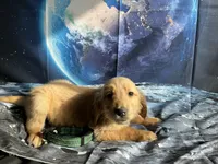 processed/5e78da36-72d7-4efa-98bf-2e4ac9b34f06/listing/abedae62-cd24-486f-9615-09da11ff9381/aa62a5de-b479-4daf-8f63-cae59cc7df67