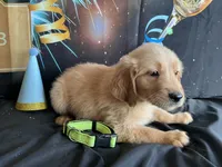 processed/5e78da36-72d7-4efa-98bf-2e4ac9b34f06/listing/abedae62-cd24-486f-9615-09da11ff9381/e354ee5c-b964-429c-810f-14a46e81dab5