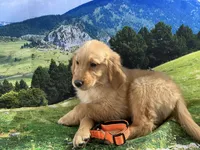 processed/5e78da36-72d7-4efa-98bf-2e4ac9b34f06/listing/aea540e1-de43-4487-9d15-ea7e0c07af1c/057dda55-b91b-46ca-a27f-2fdca6be0162