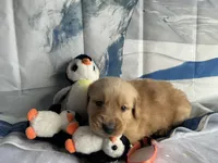 processed/5e78da36-72d7-4efa-98bf-2e4ac9b34f06/listing/aea540e1-de43-4487-9d15-ea7e0c07af1c/5f88ae5a-ad73-4b73-b355-82a7a73bdcf9