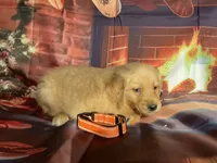 processed/5e78da36-72d7-4efa-98bf-2e4ac9b34f06/listing/aea540e1-de43-4487-9d15-ea7e0c07af1c/90f333b6-ea77-4d7d-96e6-a96cfdd6b58c