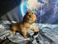 processed/5e78da36-72d7-4efa-98bf-2e4ac9b34f06/listing/b59c1b87-171a-4f81-a6f7-747e61992b9a/3911b2a5-6d03-4d8b-ab4b-e4a13f5c2fbb