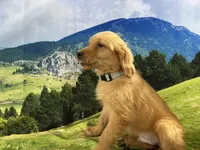 processed/5e78da36-72d7-4efa-98bf-2e4ac9b34f06/listing/b59c1b87-171a-4f81-a6f7-747e61992b9a/42298dbe-616e-4a39-8bfb-cb5d0f667992