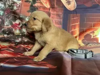 processed/5e78da36-72d7-4efa-98bf-2e4ac9b34f06/listing/b59c1b87-171a-4f81-a6f7-747e61992b9a/c9ffe555-4ecd-4aea-a2b3-4780da895cfa