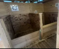 NKC standard yellow girl, a female Golden Retriever for sale in Apple Valley, CA – Photo 10 of 10