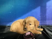 processed/5e78da36-72d7-4efa-98bf-2e4ac9b34f06/listing/c981a904-23c2-4e7e-a253-9b5e2c269d1b/17152d85-029d-4272-ade6-3a771dc25706