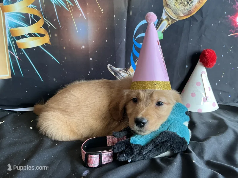 NKC standard pink color, girl